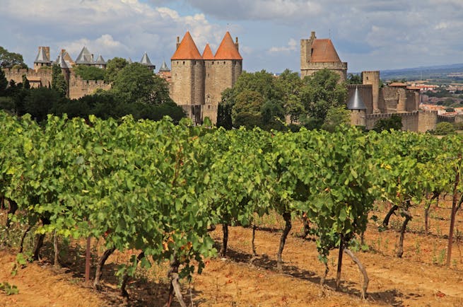 fortified town of carcassonne with vineyard