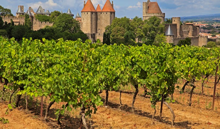 fortified town of carcassonne with vineyard