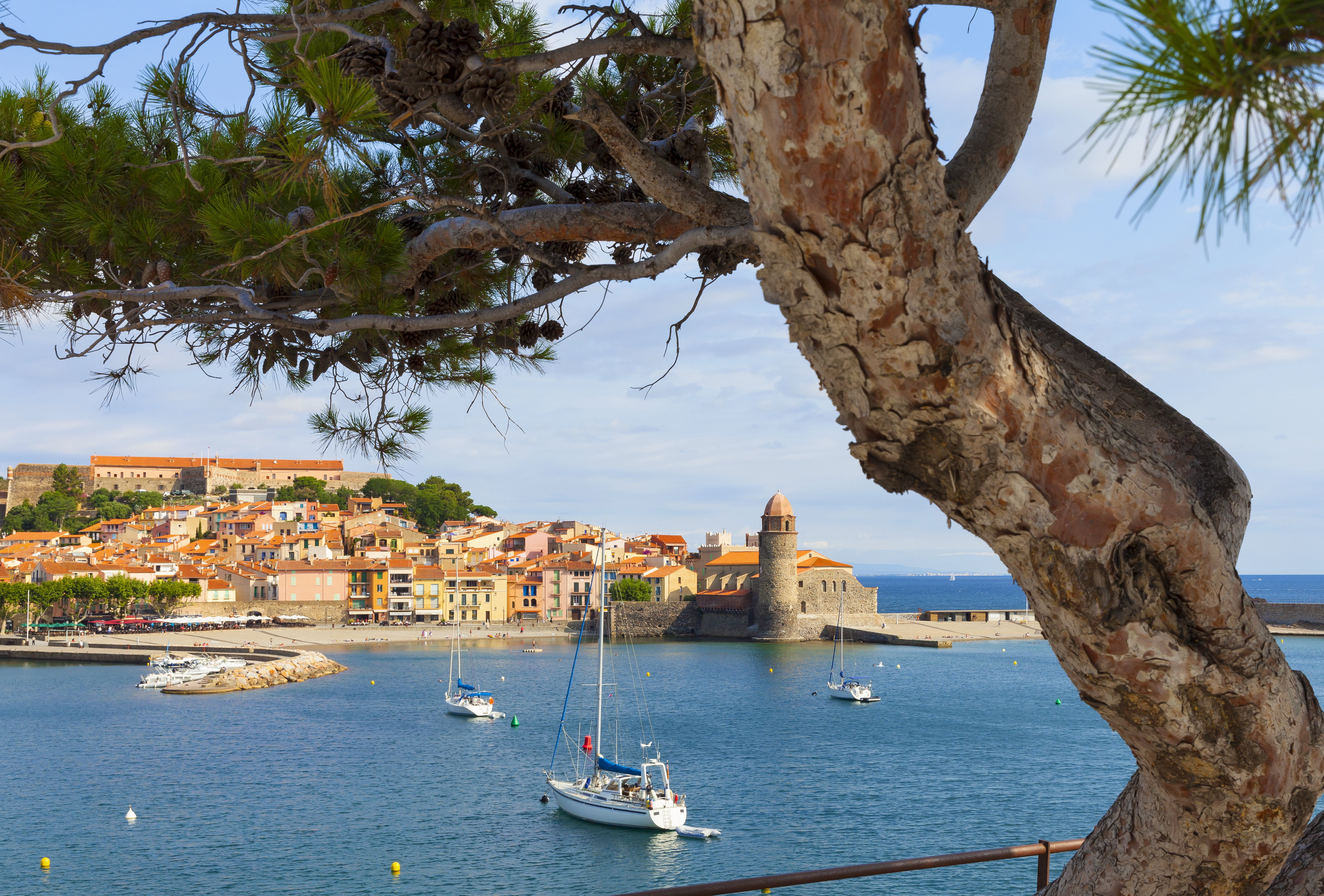 View over the water with boats and tree to Collioure