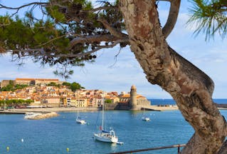 View over the water with boats and tree to Collioure