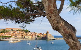 View over the water with boats and tree to Collioure