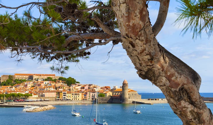 View over the water with boats and tree to Collioure