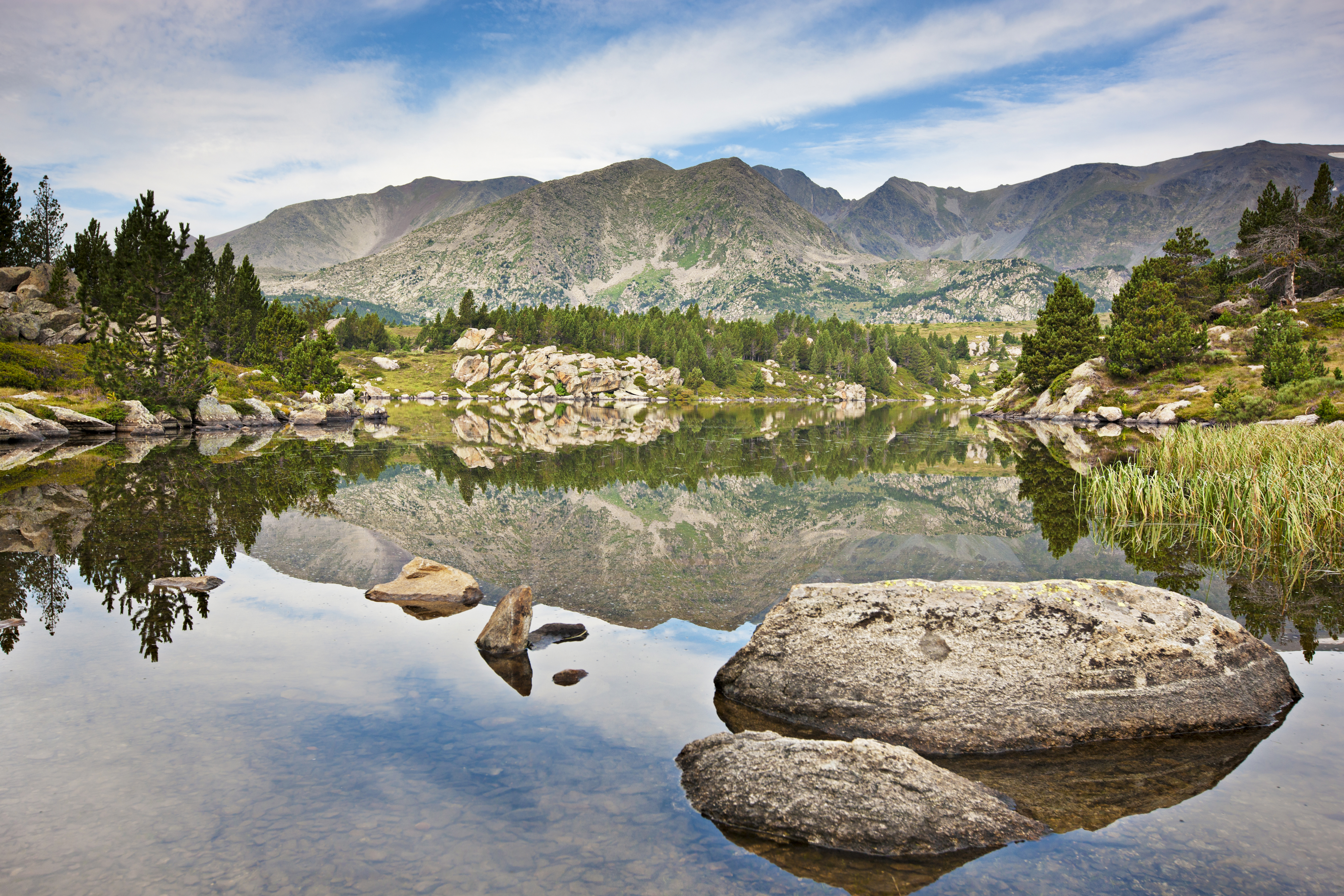 Mountain lake with pine trees and rocks at Carlit Peak in French Catalonia
