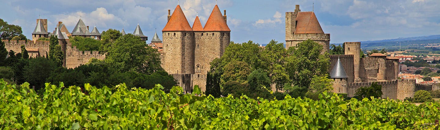 Towers and city wall behind green vines