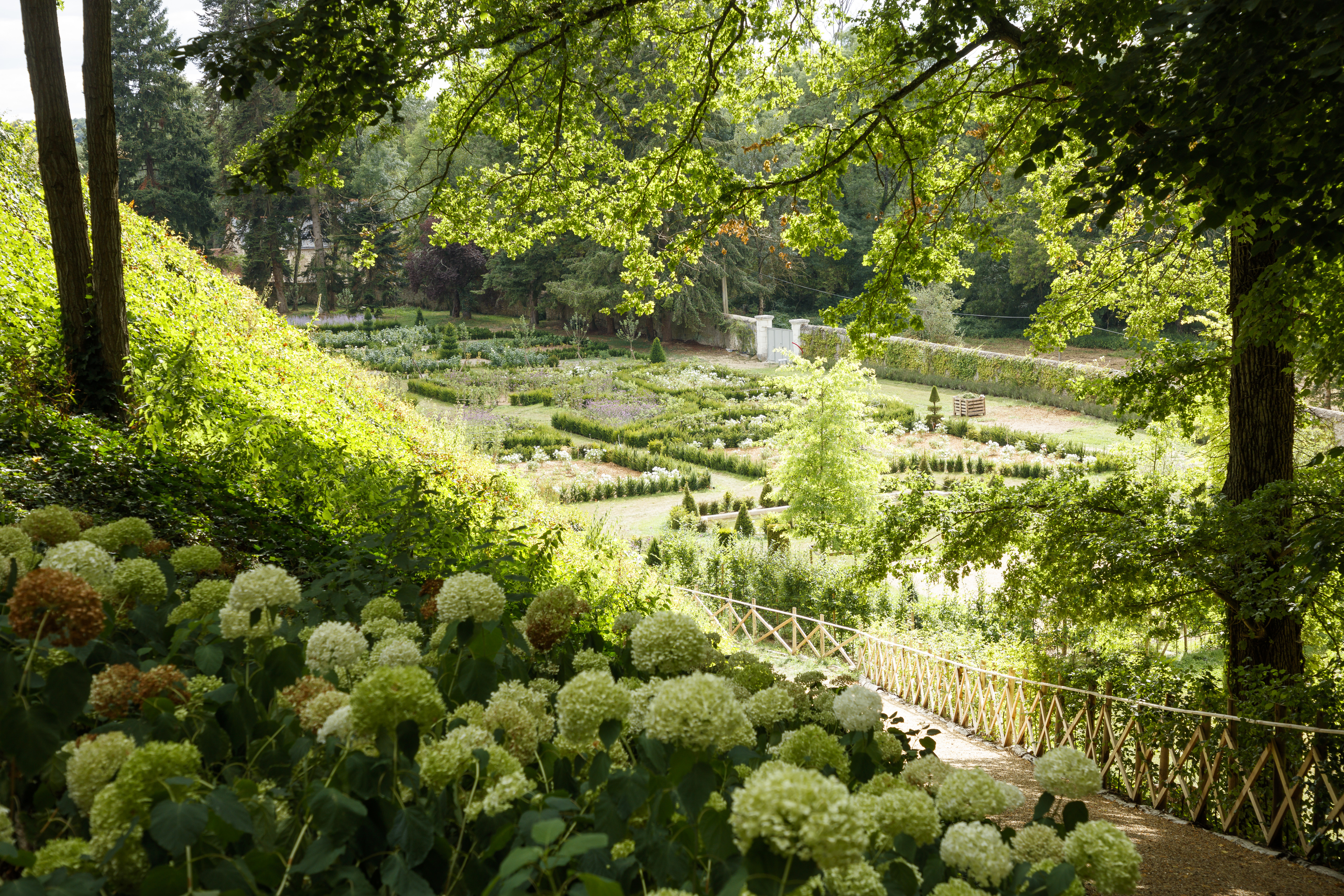 Chateau Louise de la Valliere gardens, with labyrinthine shrubbery, gravel pathways, tall ancient trees, and natural meadows