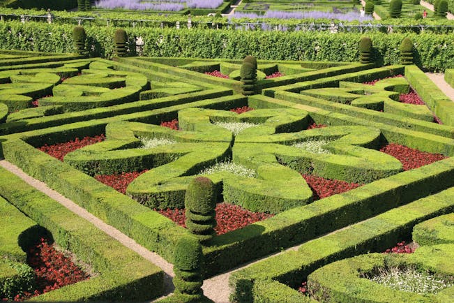 Formal green and red clipped borders in garden