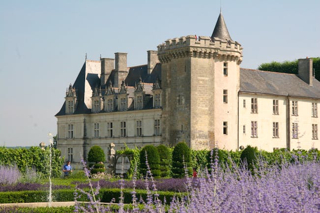 Beds of lavender in front of grey stone chateau de Villandy