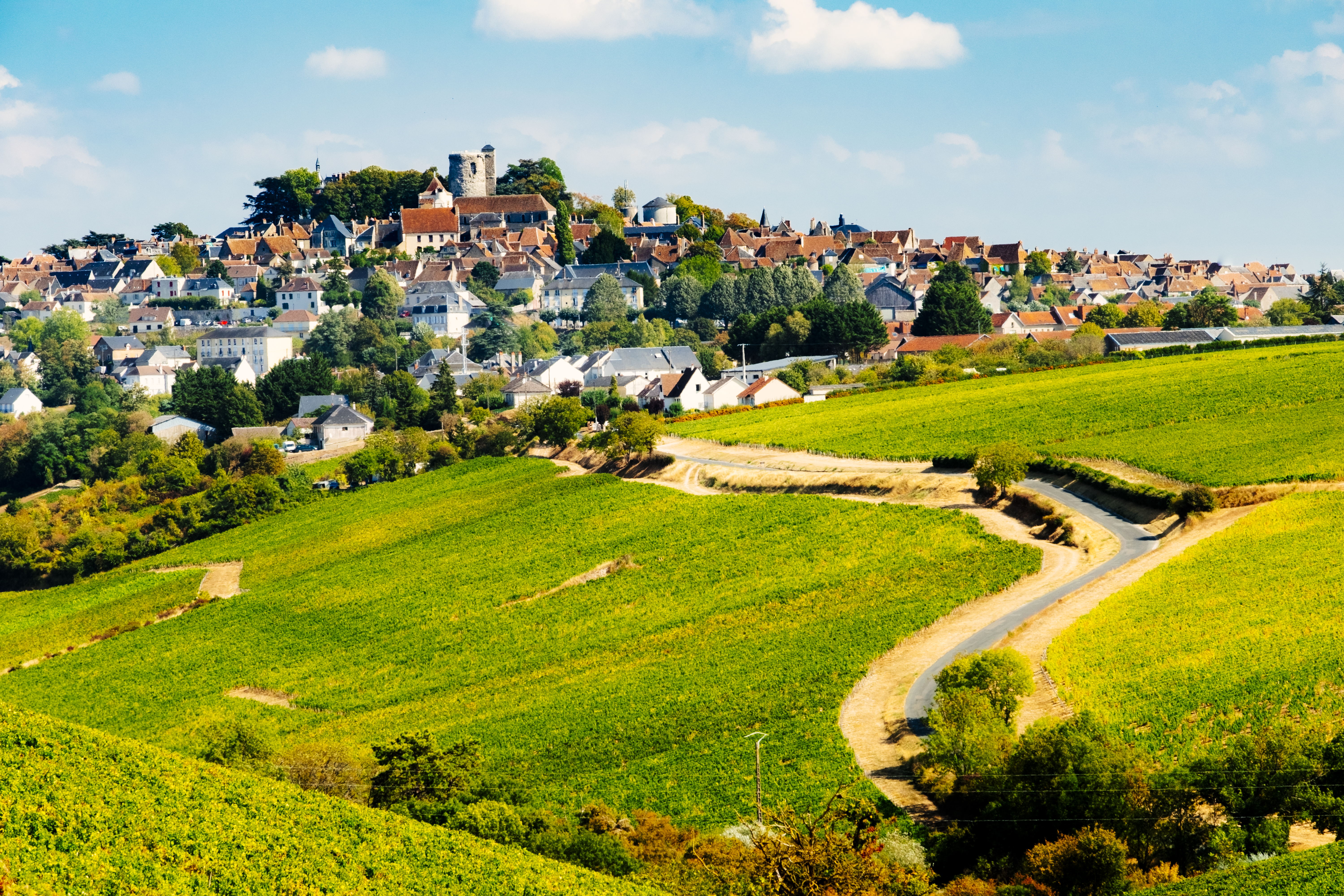 Rolling hills with patterns of vineyards with village of Sancerre on hilltop