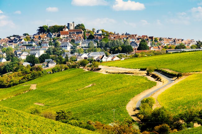 Rolling hills with patterns of vineyards with village of Sancerre on hilltop