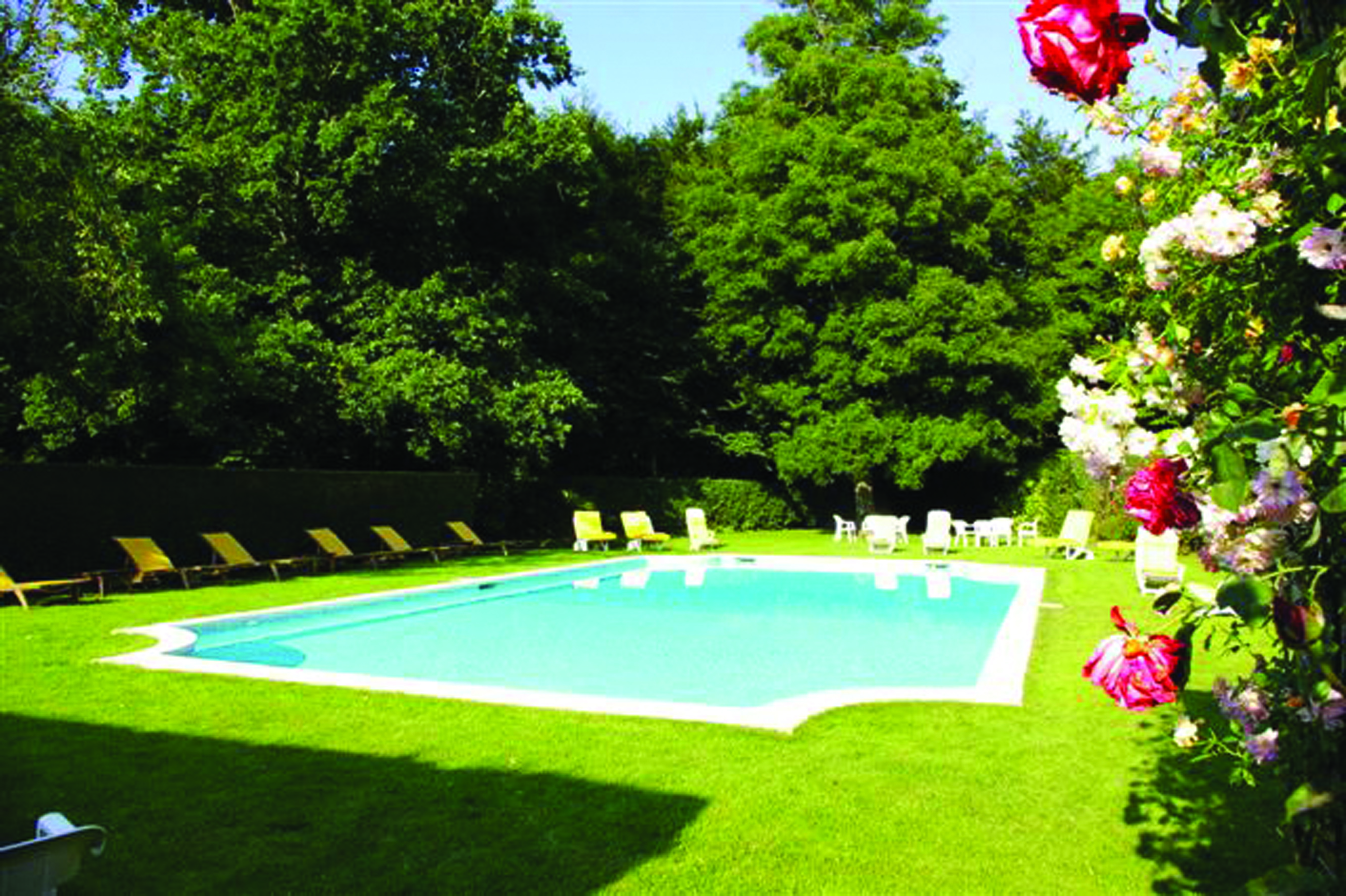 View of the outdoor swimming pool with red and white roses on vines and white deckchairs surrounidng the pool