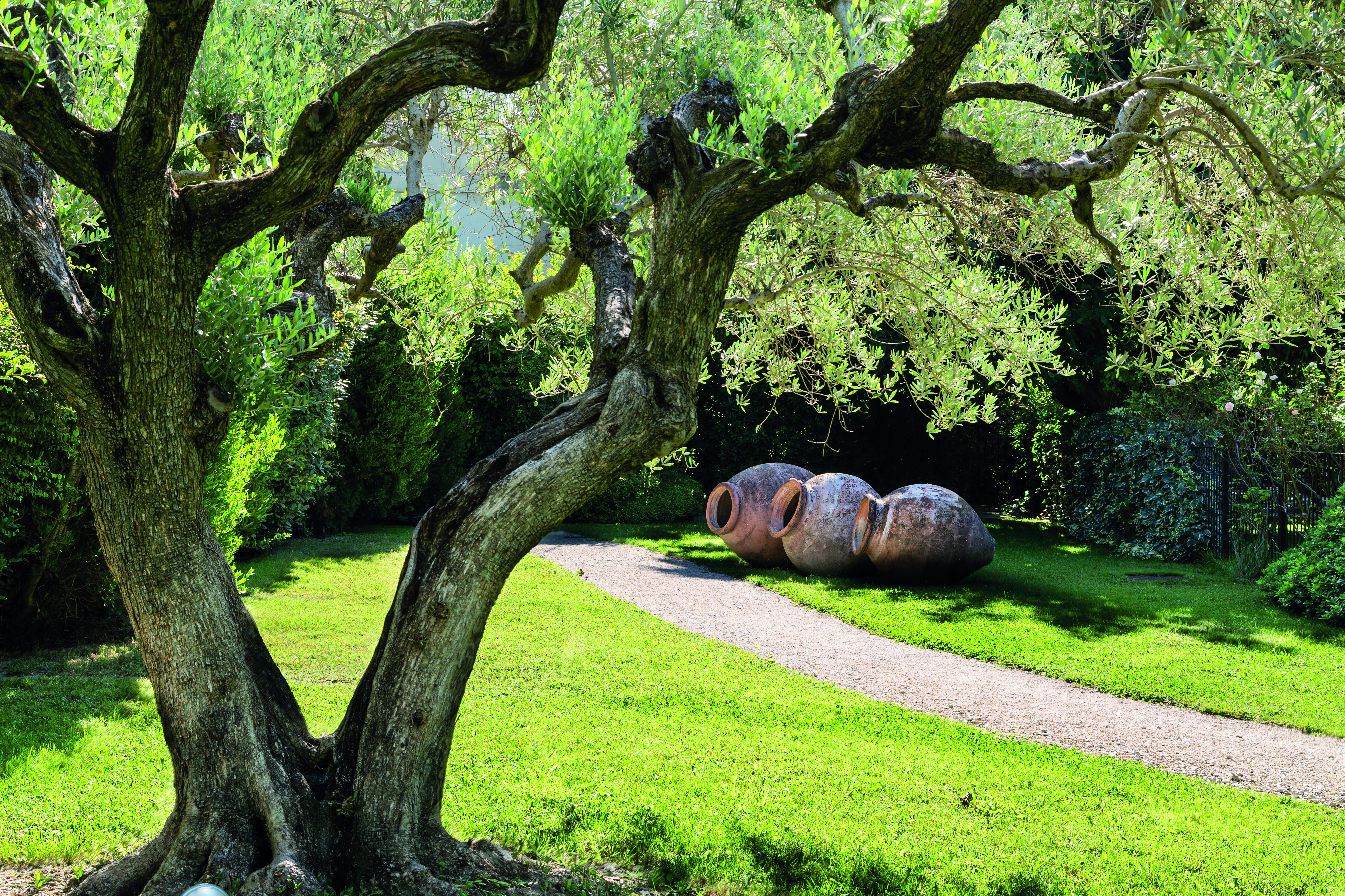 Chateau de Mazan Provence exterior garden area with trees and three large terracotta pots