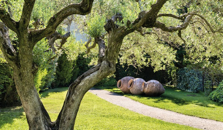 Chateau de Mazan Provence exterior garden area with trees and three large terracotta pots