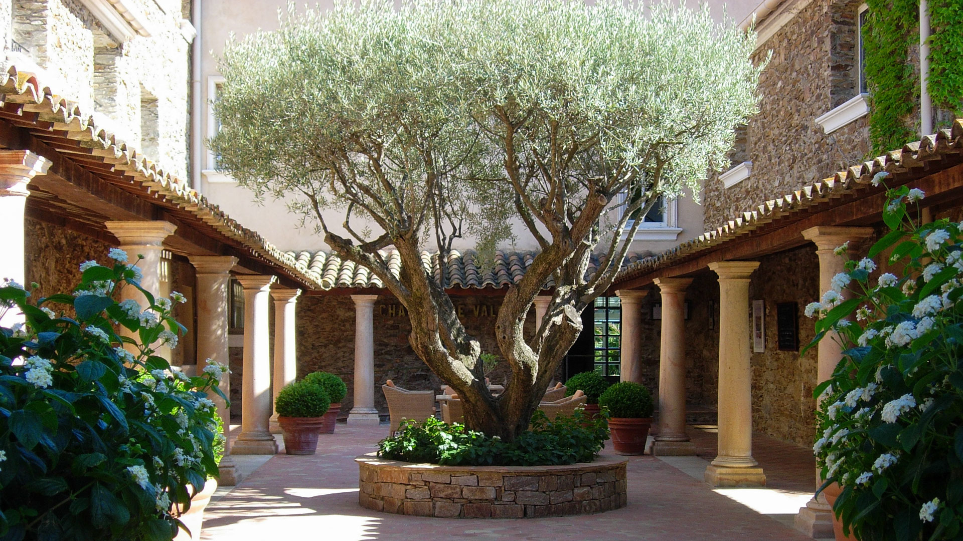 Chateau de Valmer shady courtyard with old olive tree