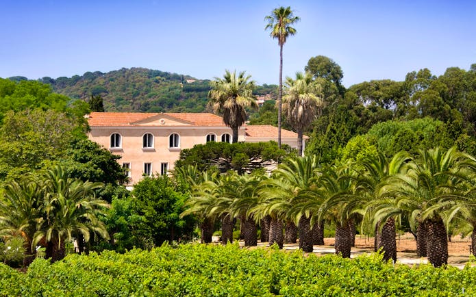 Chateau de Valmer view of the chateau with vines and palms