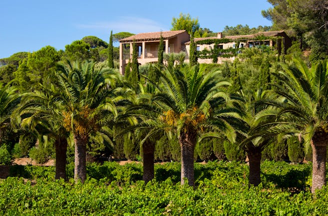 Chateau de Valmer palms with building in distance