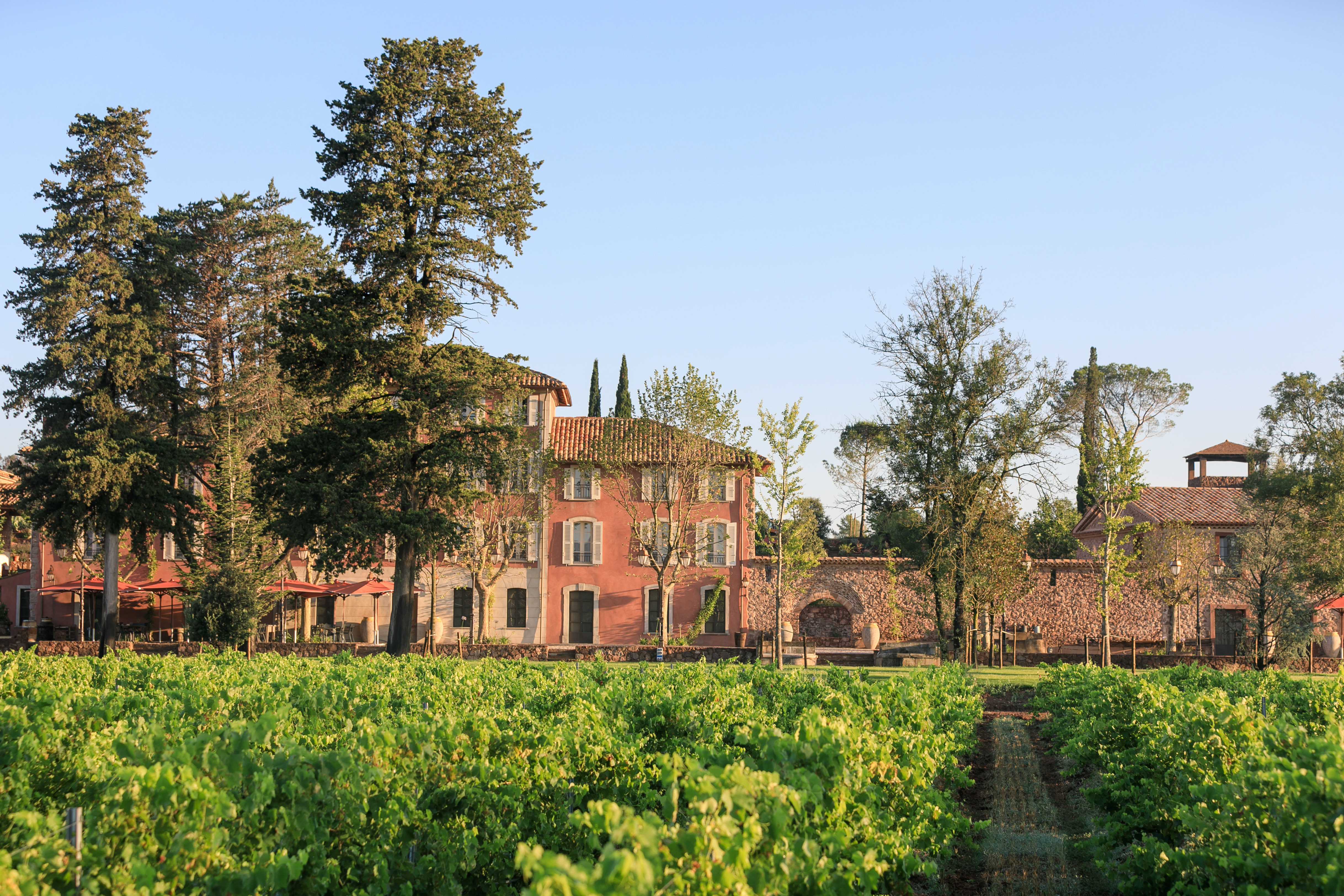 Chateau Saint Roux
