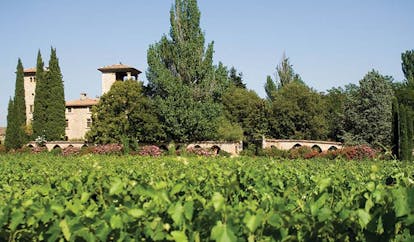 Chateau de Berne Provence garden view of vineyard