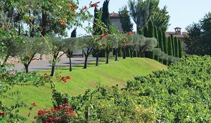 Chateau de Berne Provence gardens with topiary trees and red flowers