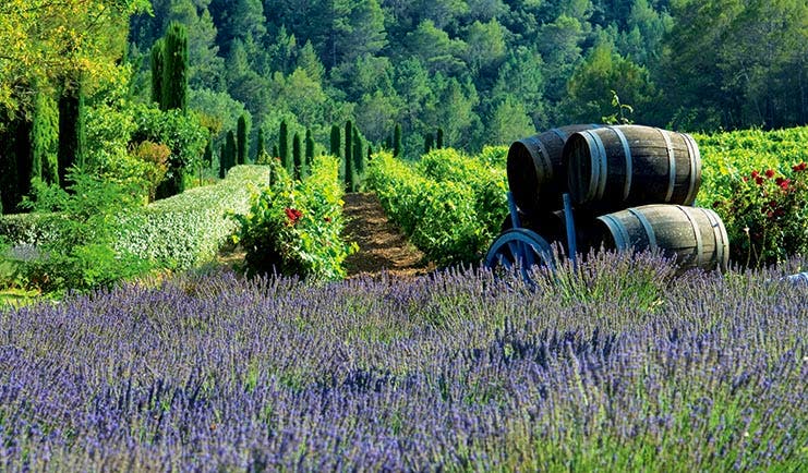 Chateau de Berne Provence lavender winery wine barrels