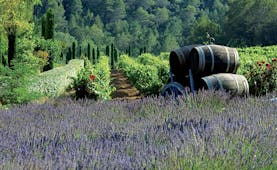 Chateau de Berne Provence lavender winery wine barrels