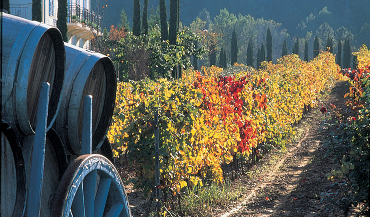 Chateau de Berne Provence vineyard with wine barrels and trees