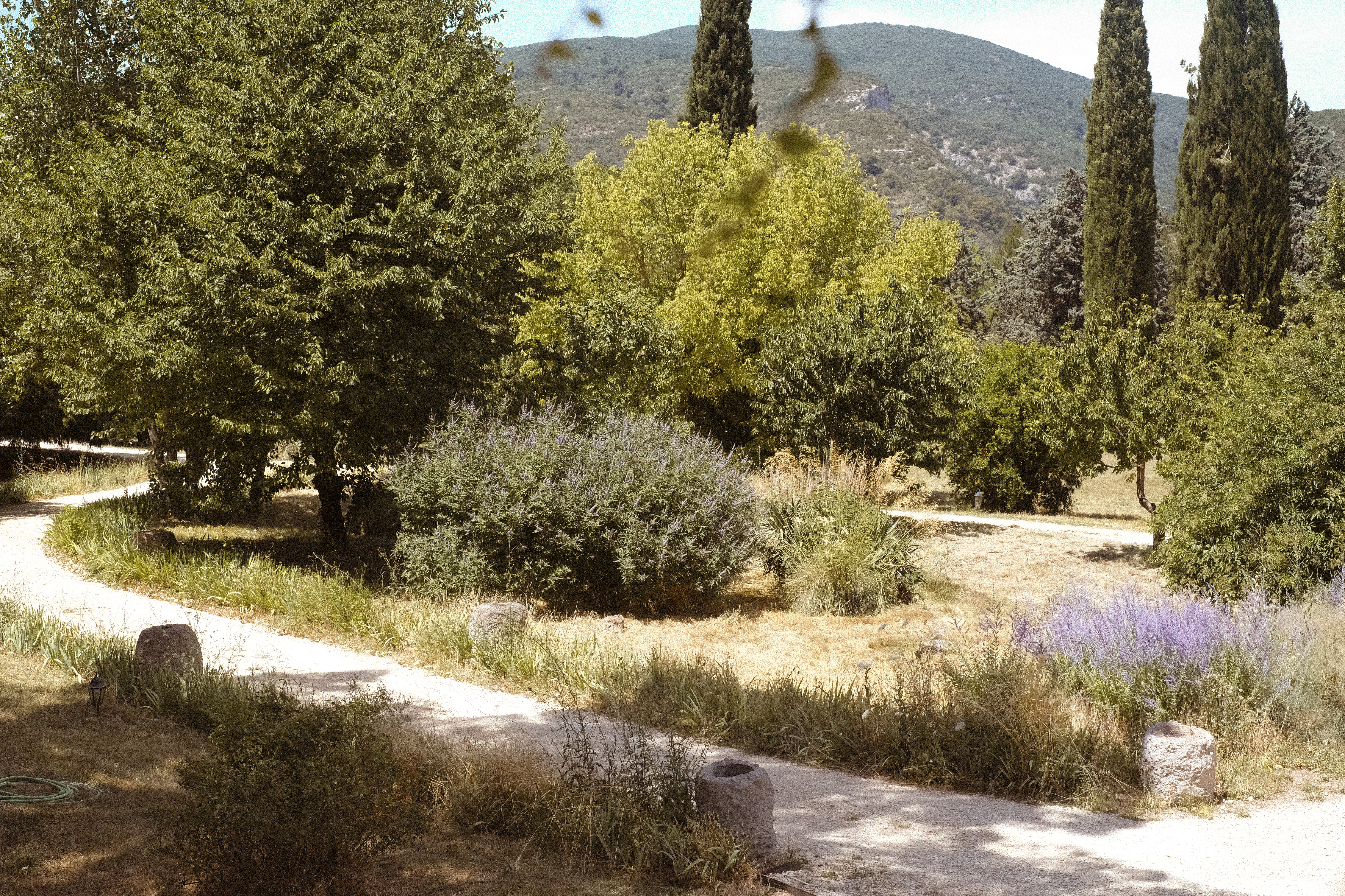 Le Galinier pathway leading through lavender and trees