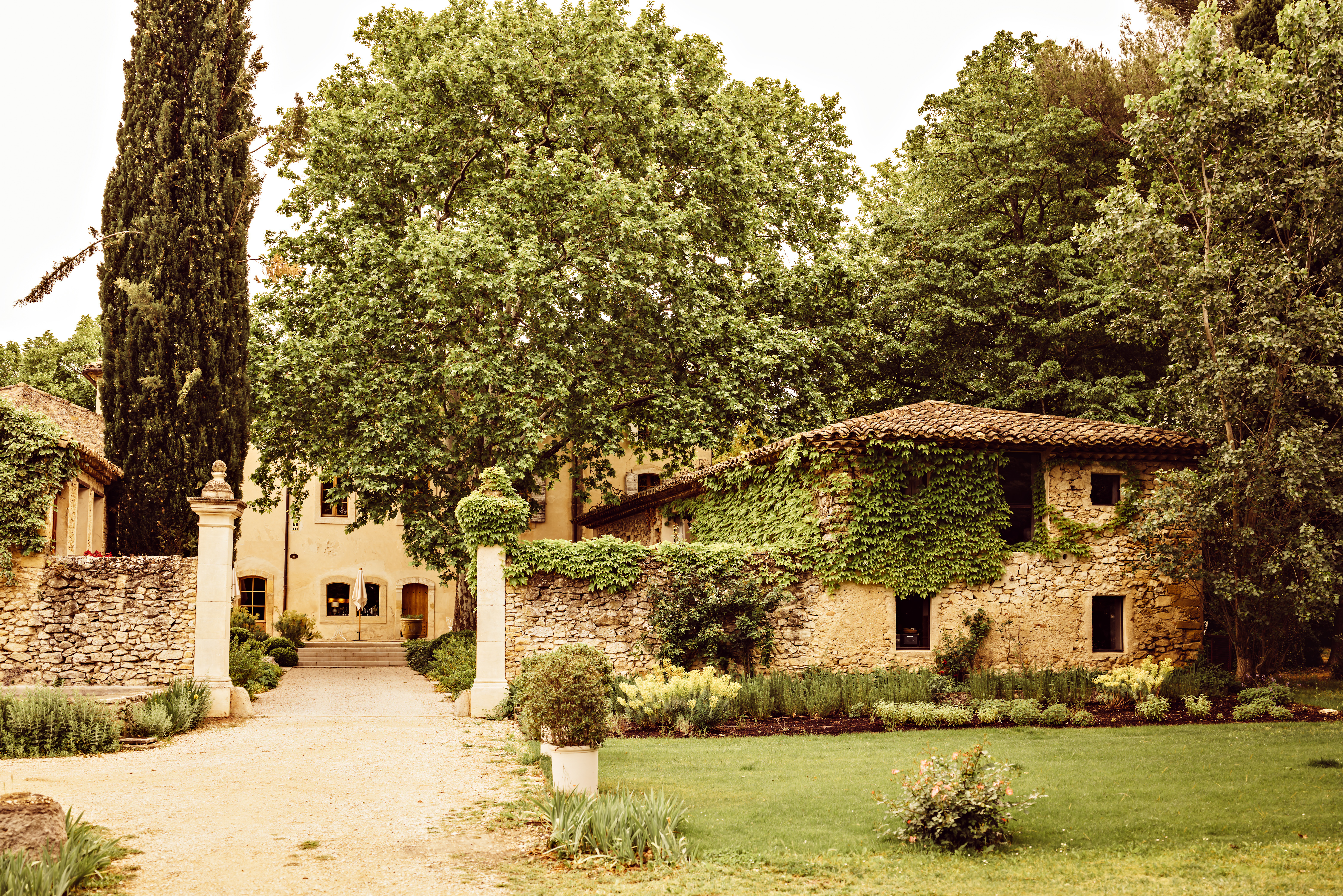Le Galinier exterior showing driveway leading up to stone building and outhouses, with ivy-cover walls and tall trees