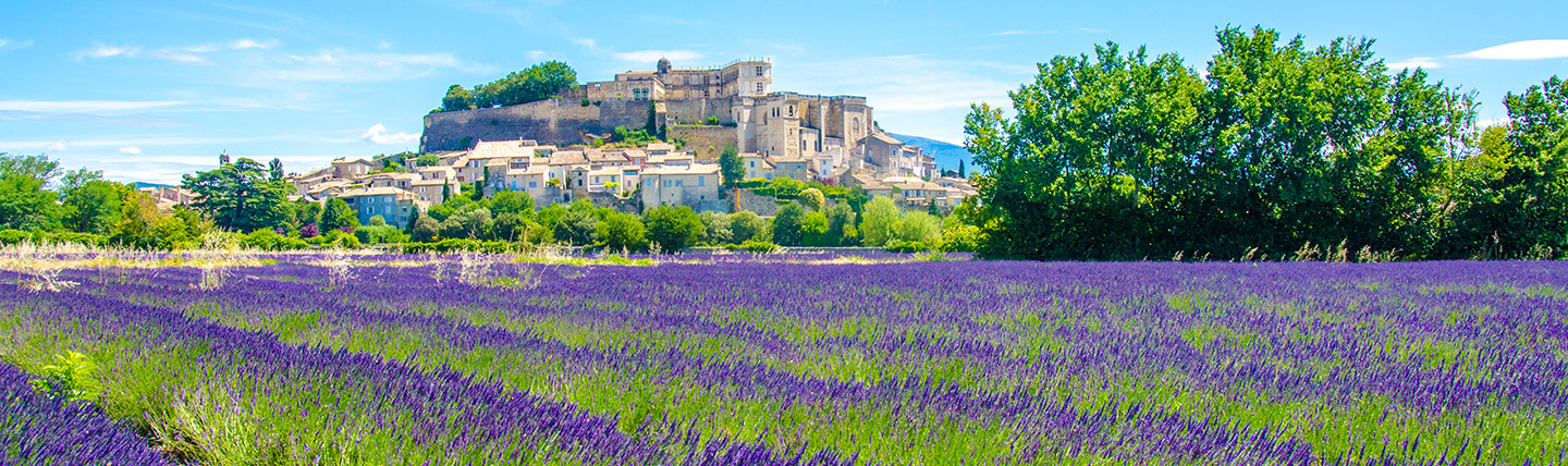 Lavender beds and town in distance