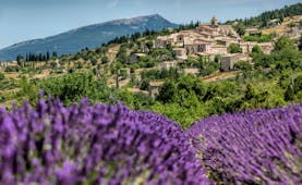 Village of Gordes with lavender clumps in the foreground