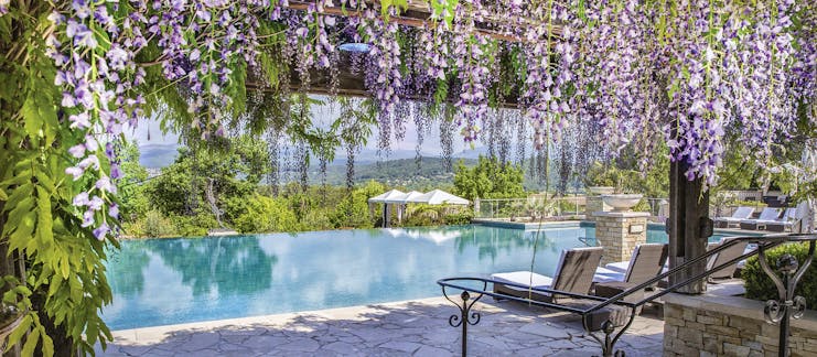 Terre Blanche Hotel and Spa Provence exterior pool foliage infinity pool from lounging area with purple flowers