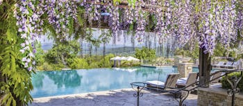 Terre Blanche Hotel and Spa Provence exterior pool foliage infinity pool from lounging area with purple flowers