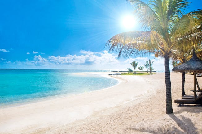 Beach with palm tree and sun high in the sky 