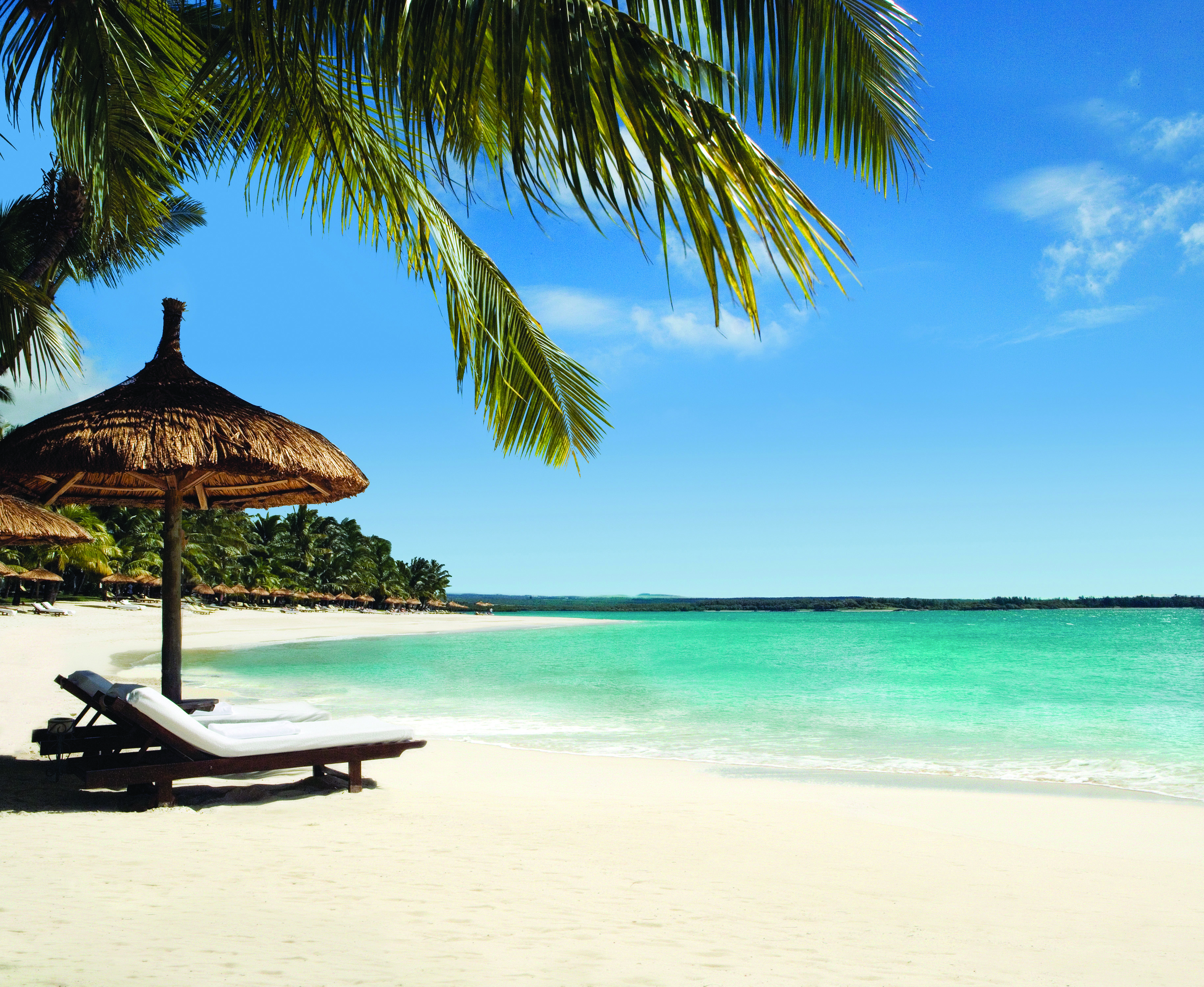 Beach with palm trees, mini beach hut umbrellas and buildings in distance 