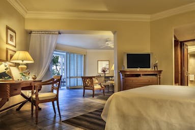 Garden view junior suite with double bed, television and lounge area