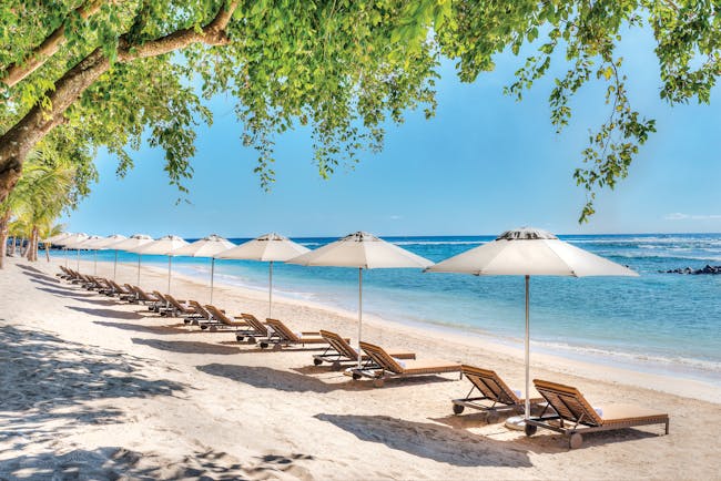 Beach with trees hanging over, sun loungers on the sand near the sea and white umbrellas
