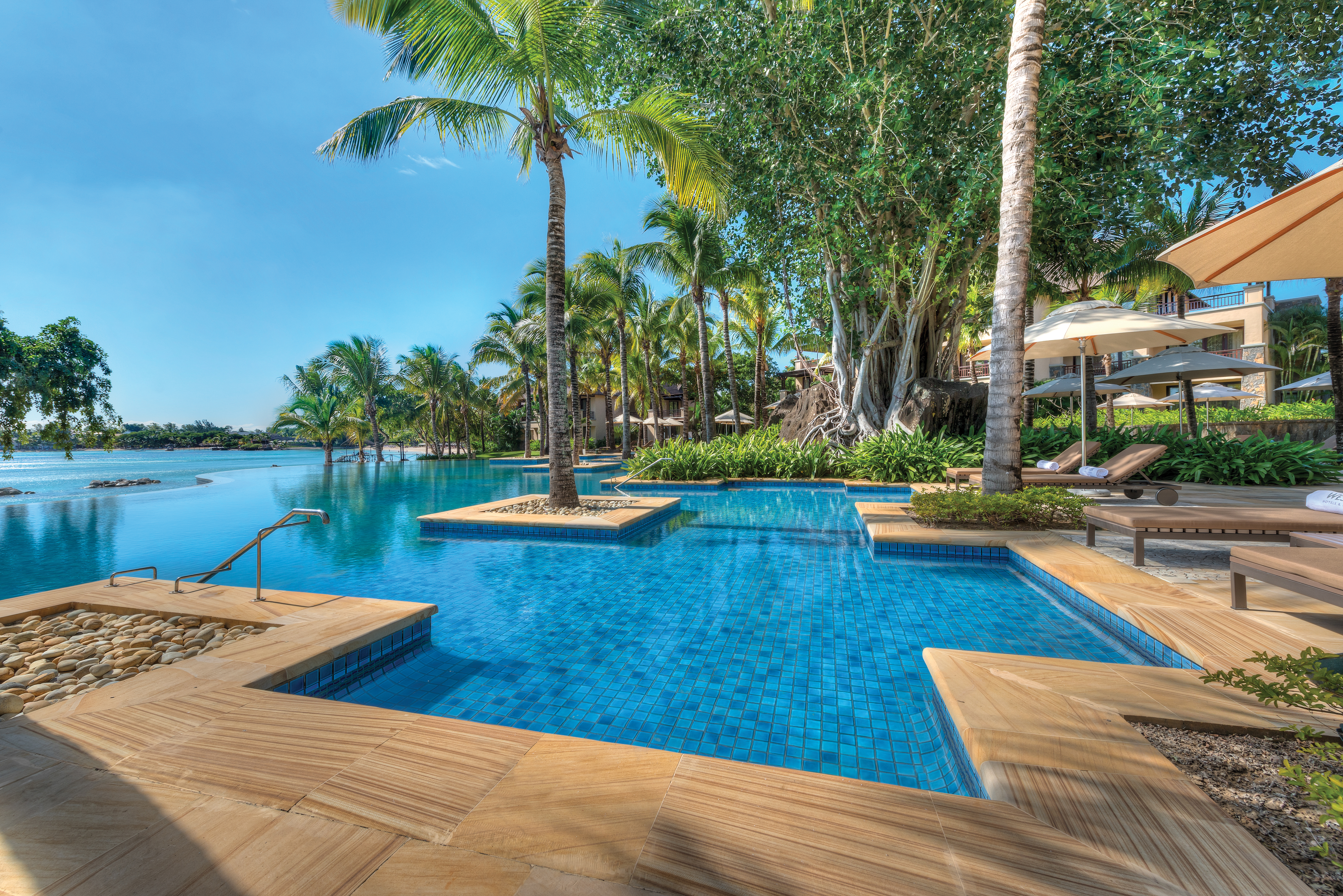 Swimming pool with palm trees round the edges and blue skies