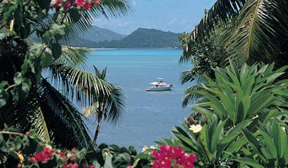 Hotel L'Archipel Seychelles ocean view flowers boat