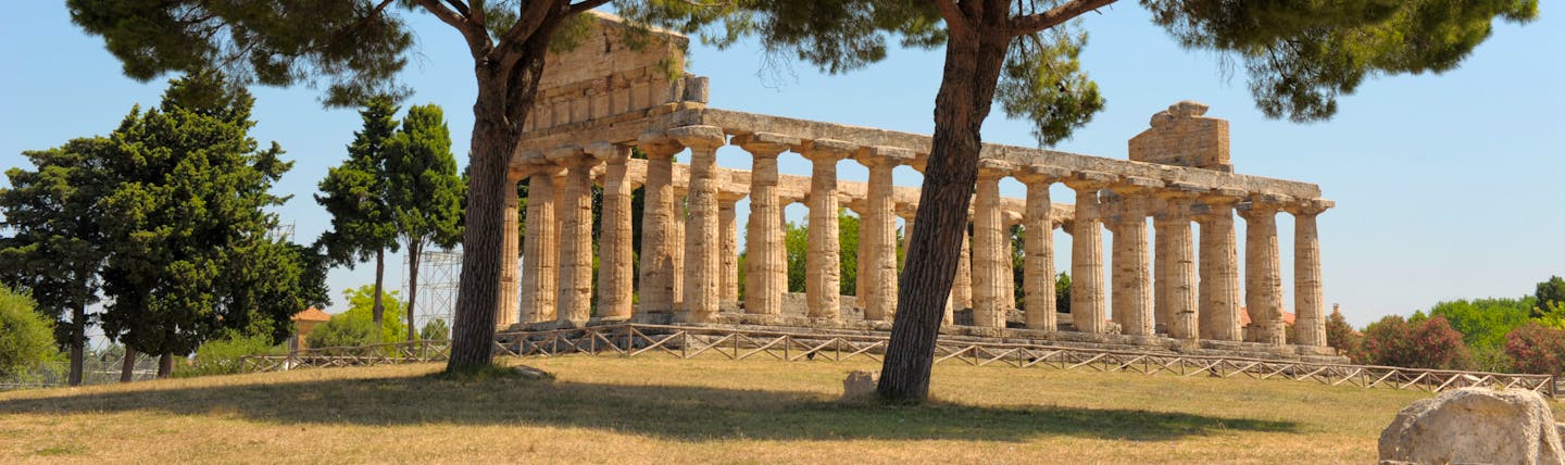 Ruined Greco-Roman temple at Paestum with columns intact and umbrella pines