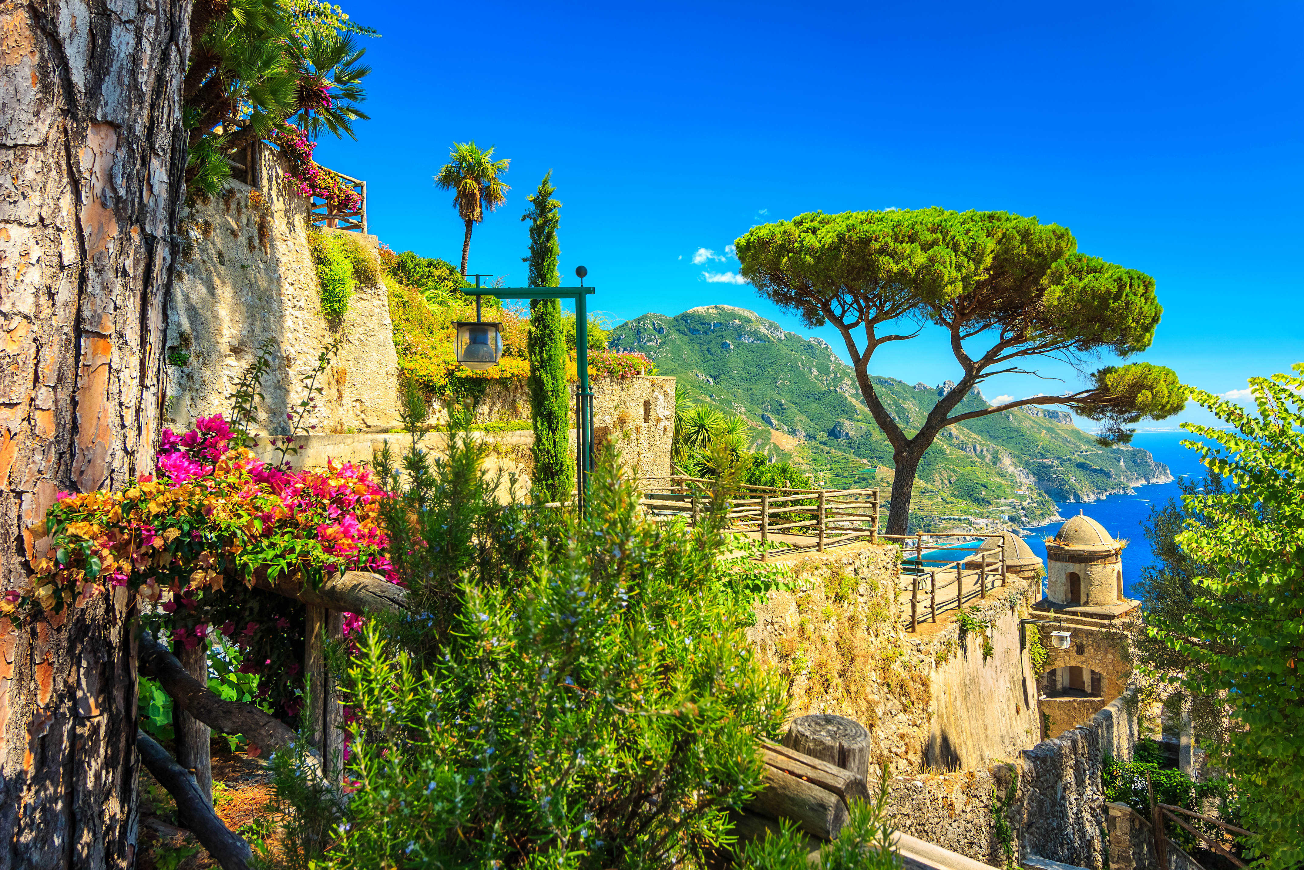 Umbrella pine and flowers and plants in stone terraces of the Villa Rufolo in Ravello with the sea in the distance