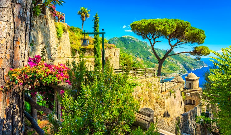 Umbrella pine and flowers and plants in stone terraces of the Villa Rufolo in Ravello with the sea in the distance