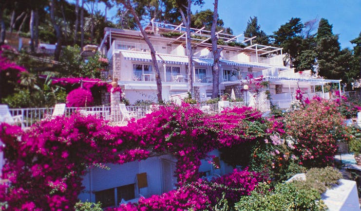 Casa Morgano Amalfi Coast exterior hotel building pink flowers trees terrace