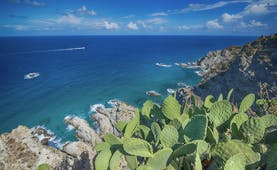 Cactus on the cliffs overlooking the emerald sea at Capo Vaticano in Calabria