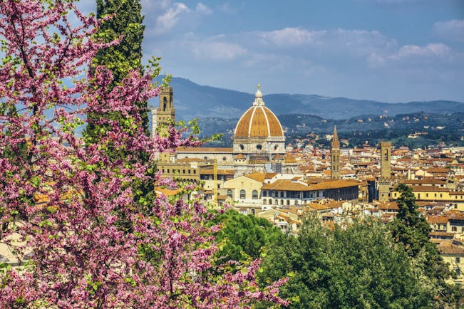 Springtime wisteria in foreground overlooking city of Florence with dome of the cathedral centrepoint