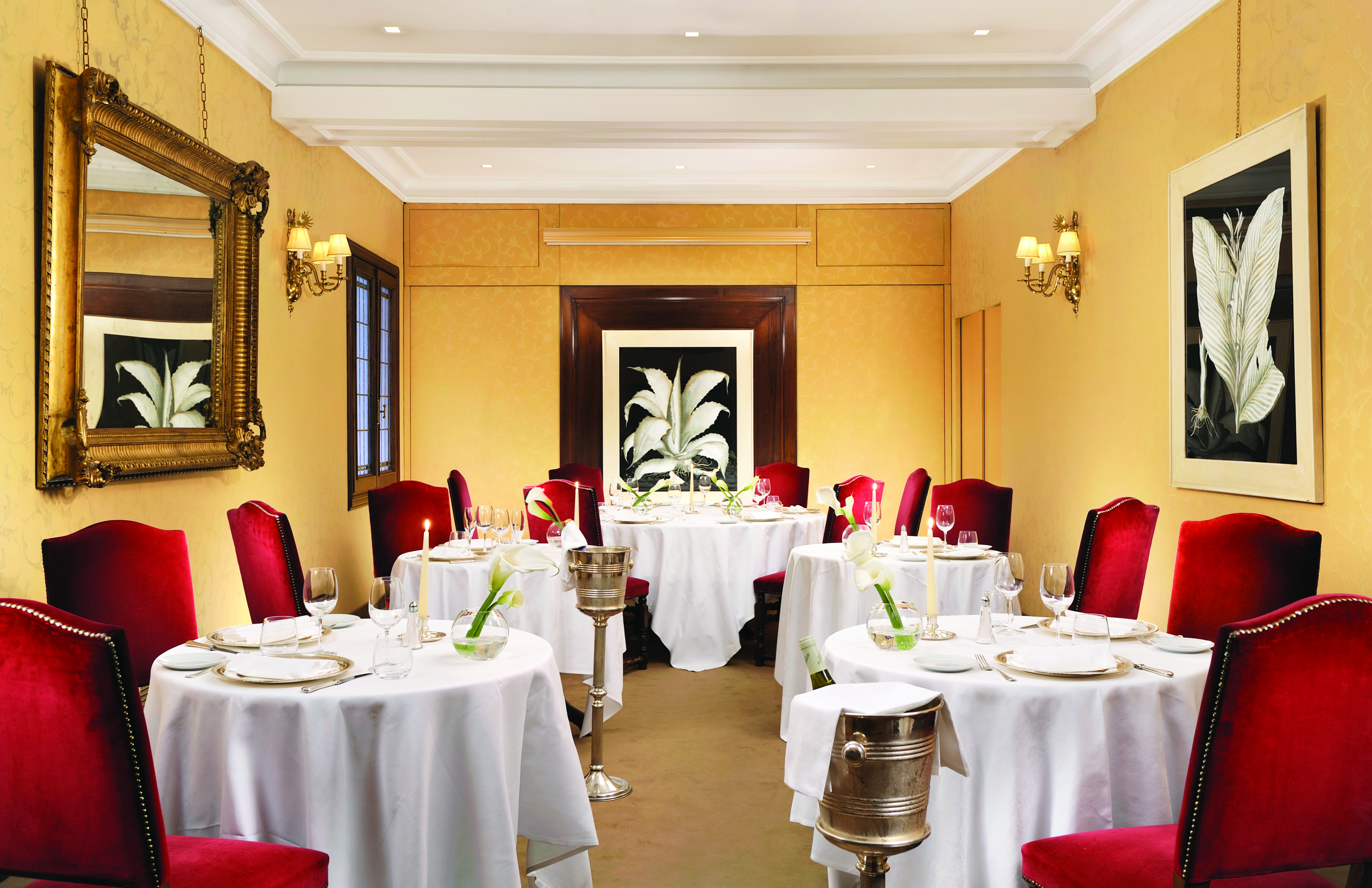 Helvetia and Bristol Florence Hostaria Bibendum restaurant indoor dining 