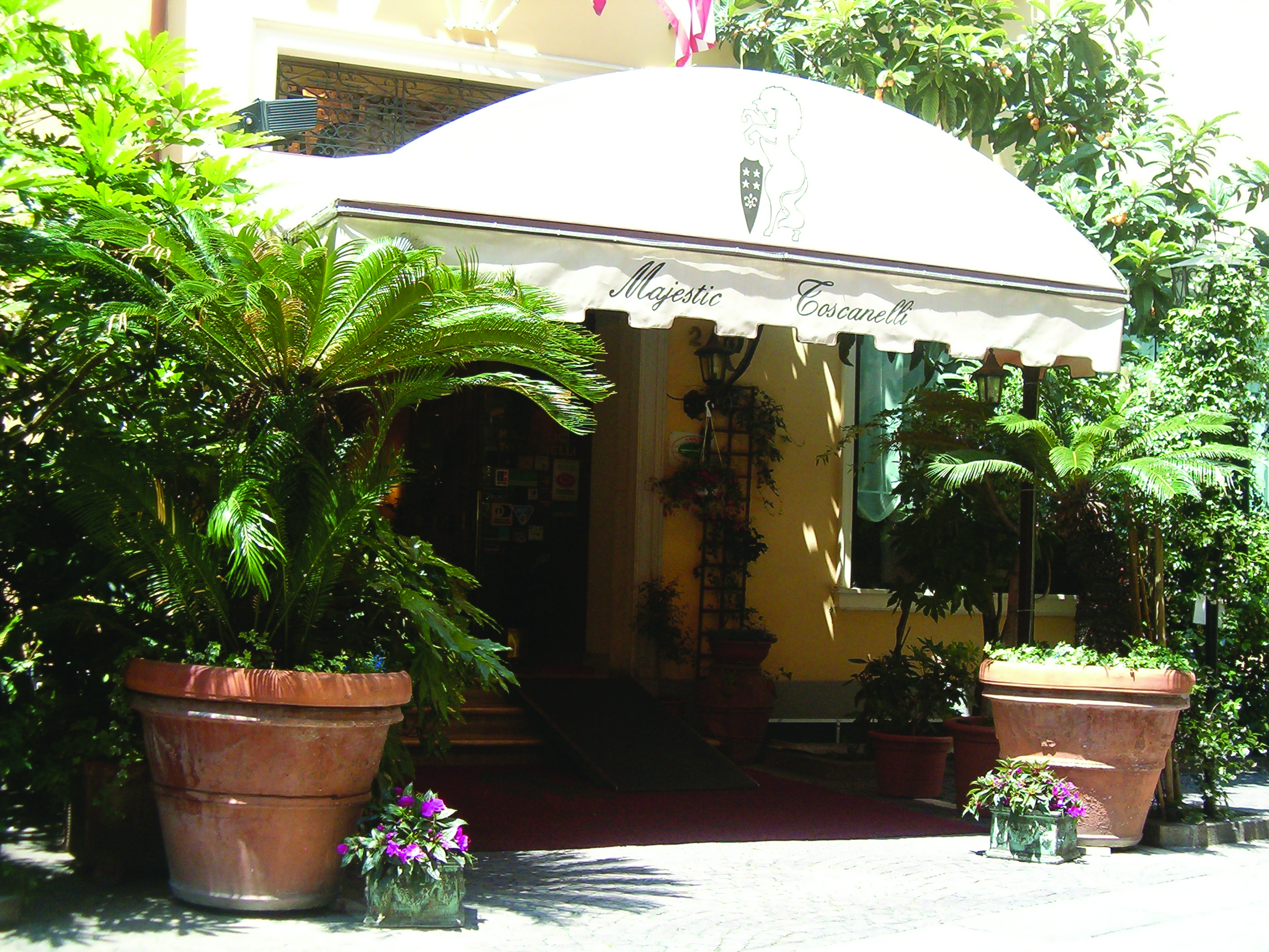 Majestic Toscanelli Padua entrance plant pots ferns greenery