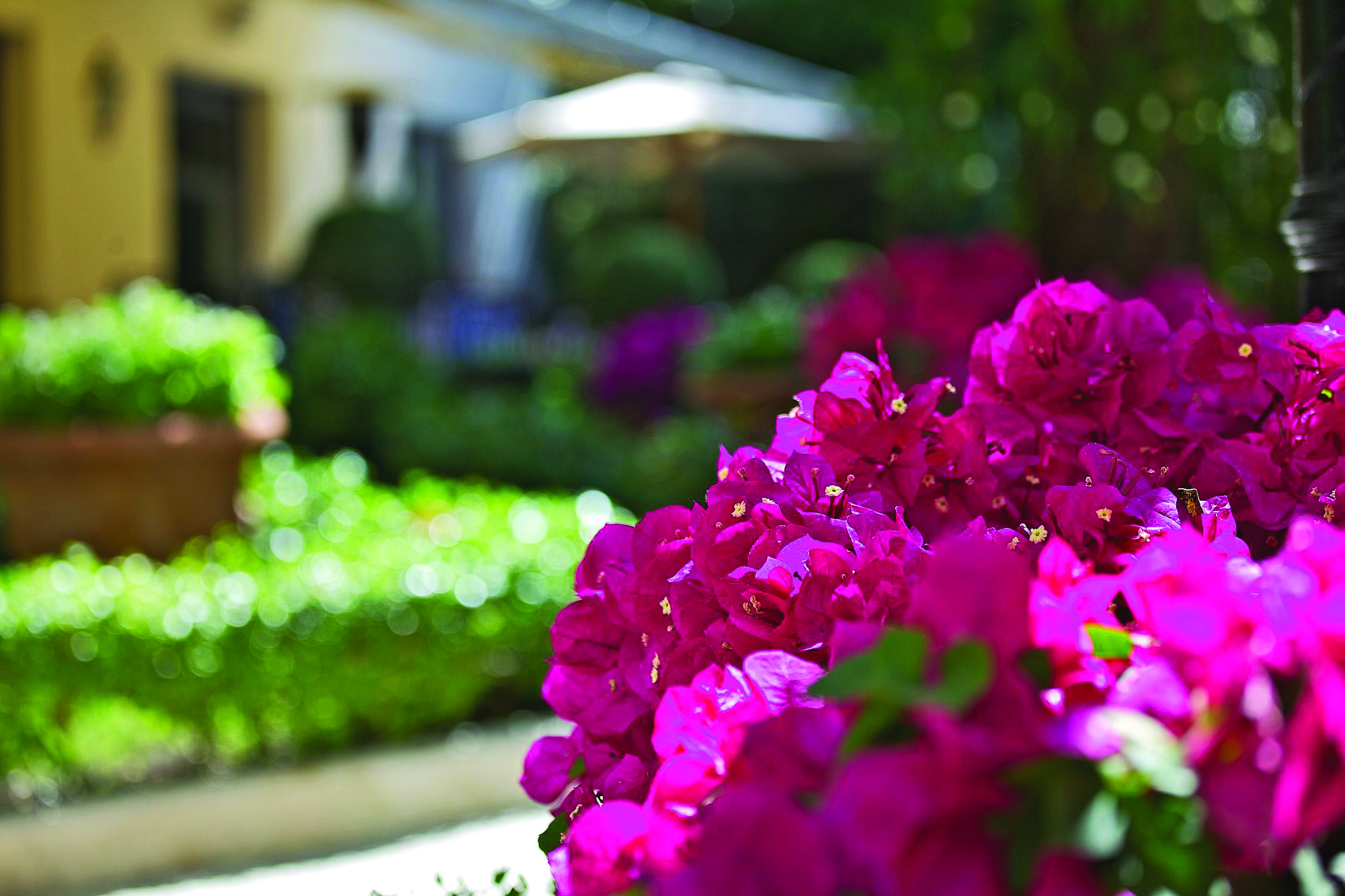 Aldrovandi Villa Borghese Rome hotel exterior by night lit lamps shrubbery