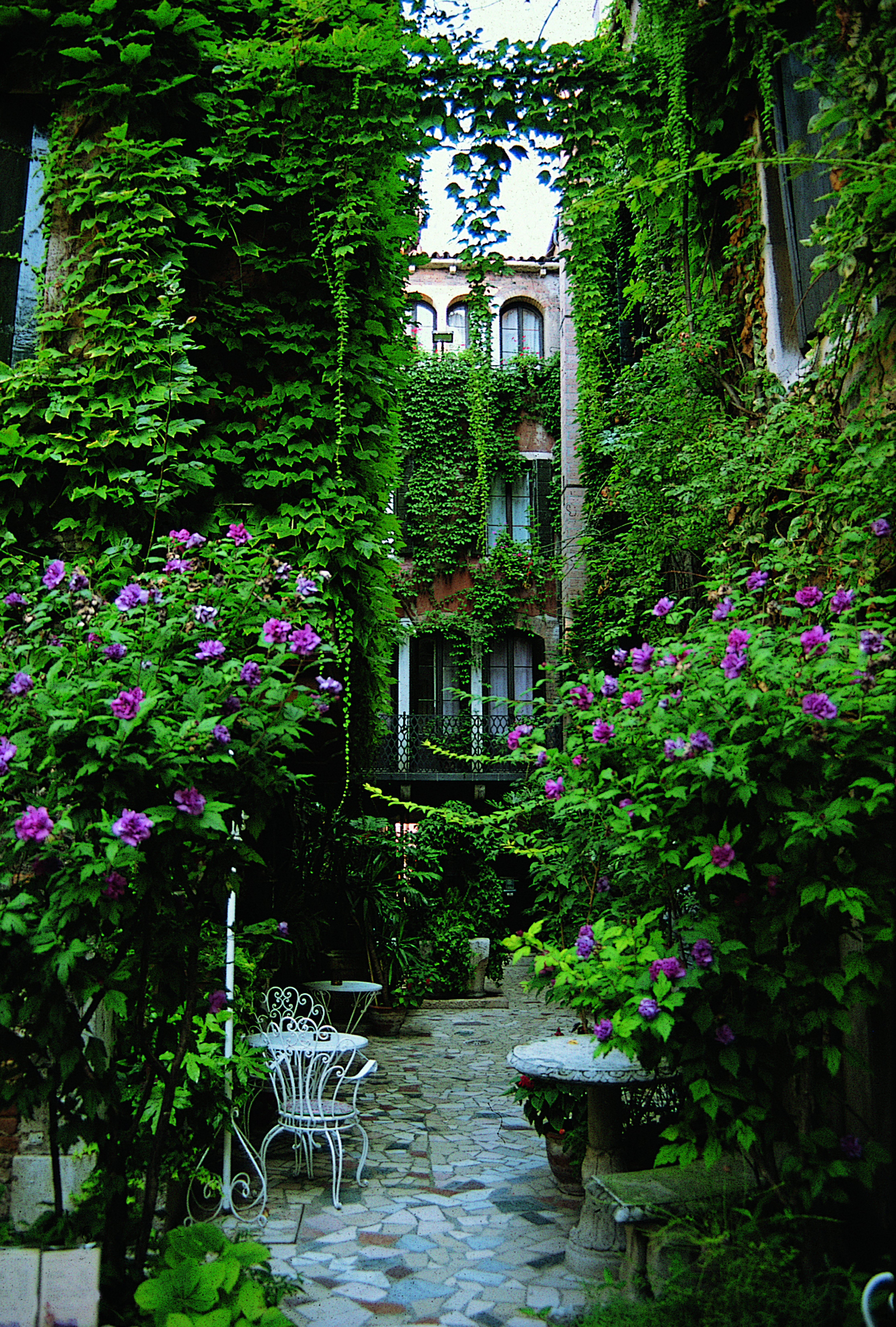 View of the garden terrace with flowers and vines covering the hotel walls