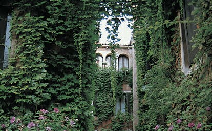 View of the garden terrace with flowers and vines covering the hotel walls