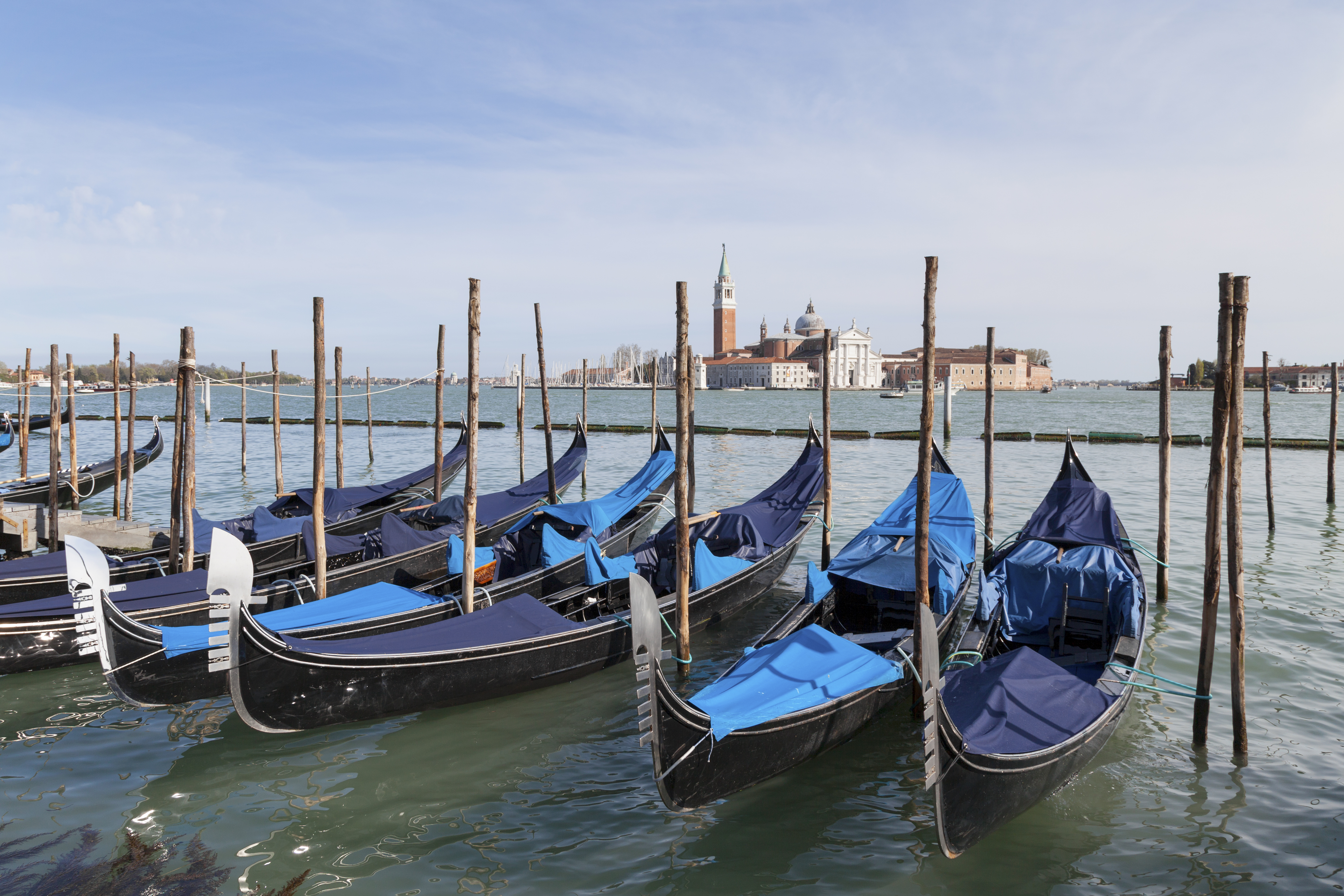 Row of gondolas with blue covers moored to posts opposite San Giorgio Maggiore Venice