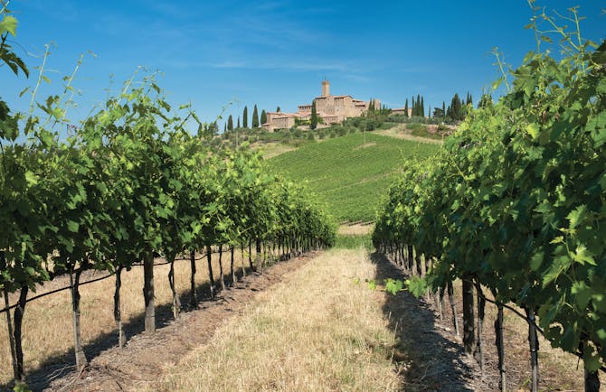 Castle on hill above rows of vines in southern Tuscany